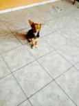 Mel
