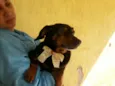 TICO