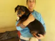 TICO