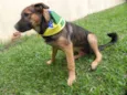 Fiona