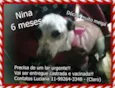 Nina