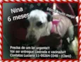 Nina