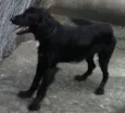 Bili