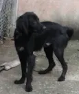 Bili