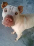 Nick