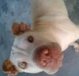 Nick