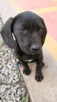 Nina