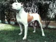 George