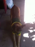 Chico