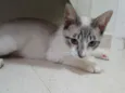 Tuco