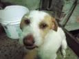 bilinho