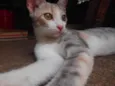 Ijexá
