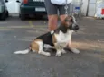 Lala