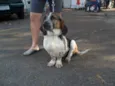 Lala