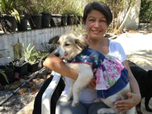 Cachorro raça SRD idade 1 ano nome GRACE