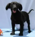 Zeus