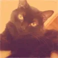 Cabiria