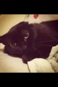 Cabiria