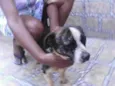 Duke