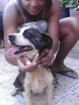 Duke