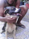 Duke