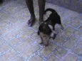 Duke