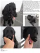 Cachorro raça SRD idade  nome Fumaça
