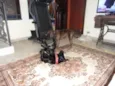 Thor 