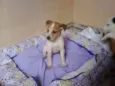 não tem 