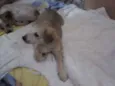 não tem 