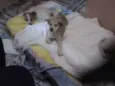 não tem 