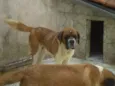 huck e hana