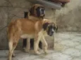 huck e hana