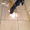 Samantha