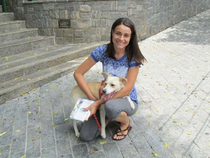 Cachorro ra a SRD idade 2 anos nome Holly