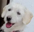 TOBIAS