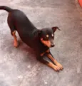 PABLO