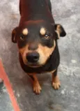 PABLO