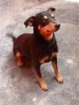 PABLO