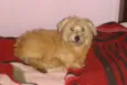 BOBY