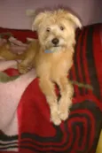 BOBY