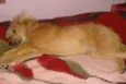 BOBY