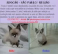 Bibi e Bobó