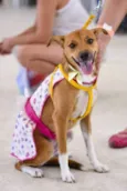 BELINHA