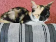 Magda e Magali