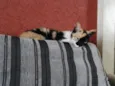 Magda e Magali