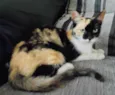 Magda e Magali