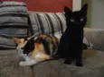 Magda e Magali