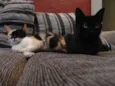 Magda e Magali