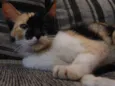 Magda e Magali